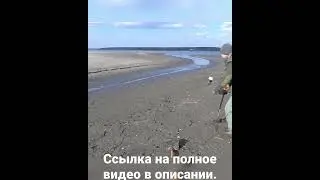 Вот так добываются находки. Поиск с металлоискателем. 