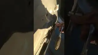 10mm socket car window hand crank lol