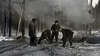 Про Саньку (авт.-исп. Георгий Евдокимов)