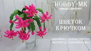 Букет крючком Рождественник (зигокактус, декабрист - авторский МК Светланы Кононенко)