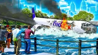 BIRD STRIKE Brings Down Aircraft into the CITY!