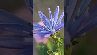 Доброго утра и хороших выходных!