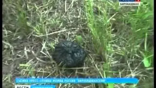 Задержан с наркотиками