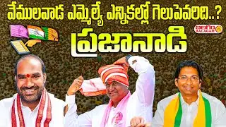 వేములవాడ నియోజకవర్గంలో ఎమ్మెల్యే ఎన్నికలపై ప్రజానాడి..గెలుపెవరిది | Balagam Tv