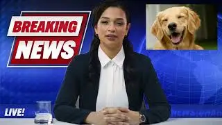 Poop Report 2