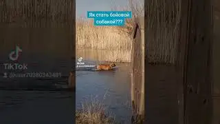 Готуюсь до мобілізації. Їду до ТЦК.