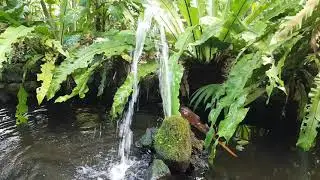 Healing Waters Sound To Help You Sleep I Relax
