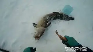 Checking hooks for burbot 07 01 2022