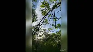 Шымкентский природа
