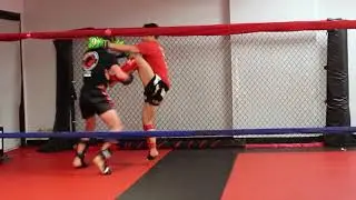 7 of my BEST Basic Offensive Combos Real Time Sparring Footage