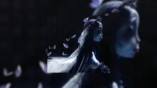 𝙝𝙚𝙖𝙧𝙩𝙗𝙪𝙧𝙣 - 𝙬𝙖𝙛𝙞𝙖 (𝙨𝙥𝙚𝙙 𝙪𝙥 + 𝙧𝙚𝙫𝙚𝙧𝙗)