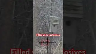 Explosives vs microwave! #youtubeshorts #gun #ammo #viral #fire