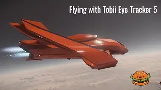 Flying with Tobii Eye tracker in Star Citizen