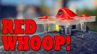 Inductrix FPV Plus REVIEW....sorta