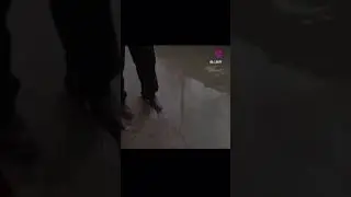 Ну жиза же