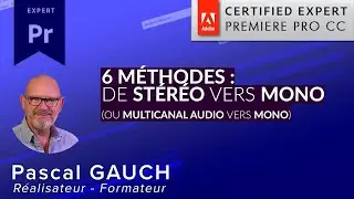 Premiere Pro - 6 Méthodes pour passer de Stéréo en Mono