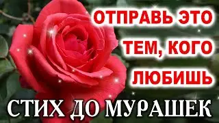 🔴THE POEM WILL BRING YOU TO TEARS, VERY TOUCHING! GOOD MORNING! POEM PARABLE ABOUT KINDNESS