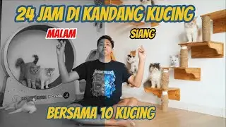24 HOURS IN A CAT CAGE WITH 10 CATS