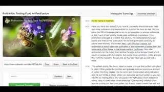 Introduction to VidReader