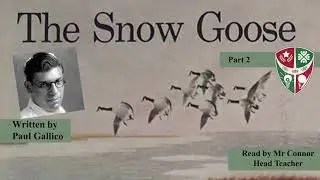 The Snow Goose by Paul Gallico | Read aloud by Mr Connor | Part 2