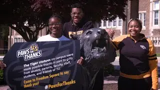 Paws for Thanks