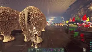 No Undermesh Detected (2018 r95)