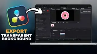 How To EXPORT With A Transparent BACKGROUND In Davinci Resolve in SECONDS!