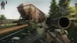 Tarkov 338 ap 4-5 hits. wtf?