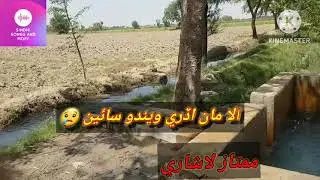 Alla maa udri weendus | mumtaz lashari sindhi songs| sindhi new song