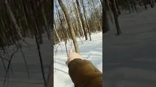 Работа по зайцу! Эг Фагот!