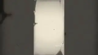 tiktok trend...#capcut