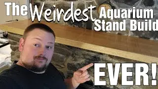 Weirdest Aquarium Stand Ever