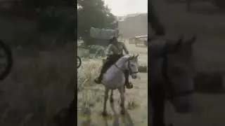 Should Have Called An Uber #rdr2