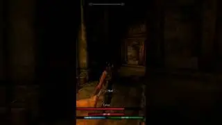 И это вы называете воином? || Skyrim RFAB SE X                            