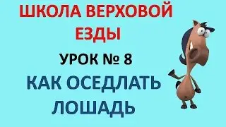 Как оседлать лошадь