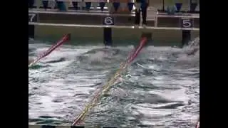 和大　100Fr 　谷口