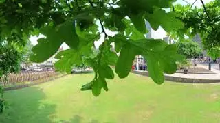 Harrogate Army Foundation College Freedom of Harrogate