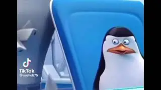 Penguins of Madagascar but it’s hot