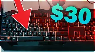 Best Budget Keyboard and Mouse?! | Cooler Master Devastator 3 (Unboxing and Review + Sound Test)
