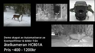 Demo av åtelkameran HC081A för ~400 - 1200kr