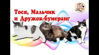 Тося, Мальчик и Дружок-бумеранг
