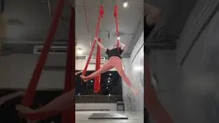 Aerial hammock 23 Aug 2024 part 1