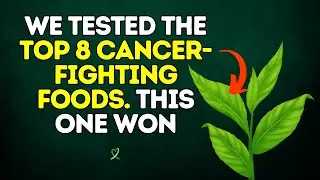 We Tested The Top 8 'Cancer Fighting' Foods  This One Won