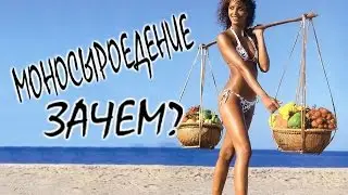Моносыроедение или сыроедение в моно режиме. Зачем?