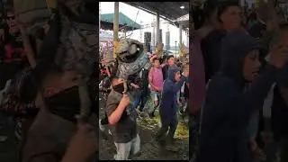 #shorts  Los Panaleros de Cocucho - Un oficio con muchas Abejas en el Corpus Purepecha 2024