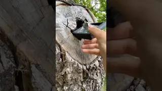 Frame in hollow