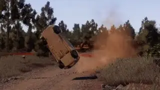 WRC 8 Physics
