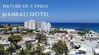 Mandali Hotel 3* Protaras. Nature of Cyprus