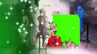 Color effect wedding background frame   Green screen wedding frame full HD