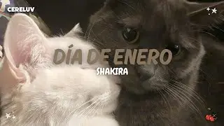 Shakira - Día De Enero (Letra)